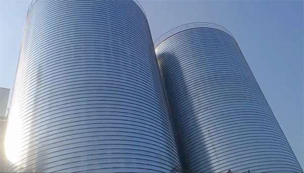 隆德2座混凝土高架卷板仓